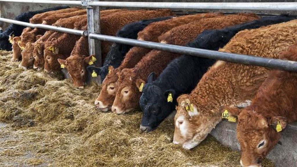 Record Winter Feed Costs – Find out how much your feed will cost this winter!