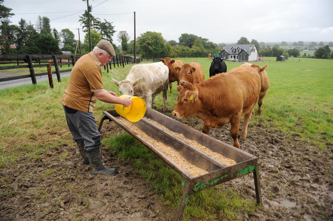 Mary and Pat Scanlan suckler farmers Barnane Templemore Co Tipperary Herdwatch