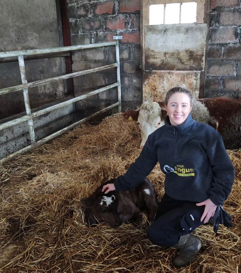 Karen Moynihan weighing cattle Kerry farm average daily gains Herdwatch