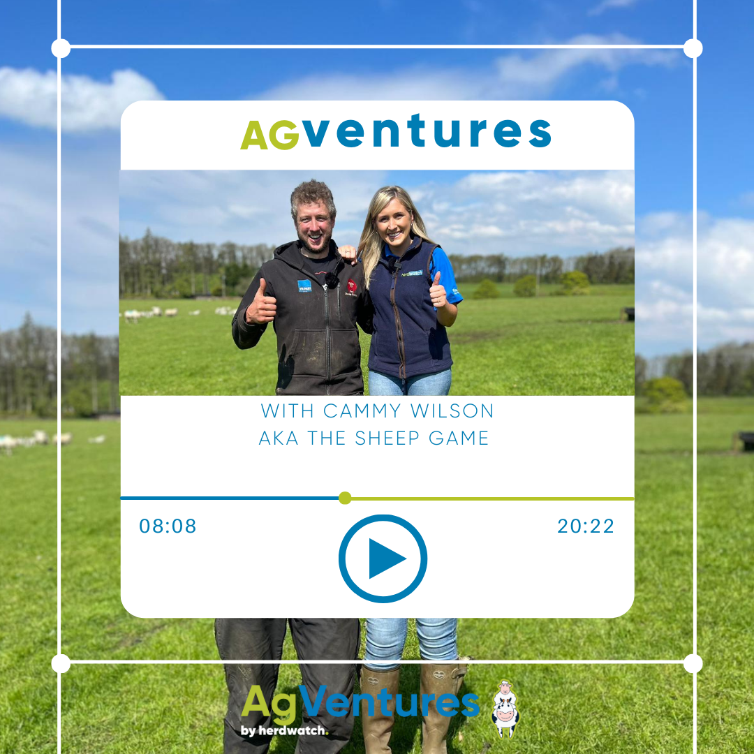 agventure cammy wilson