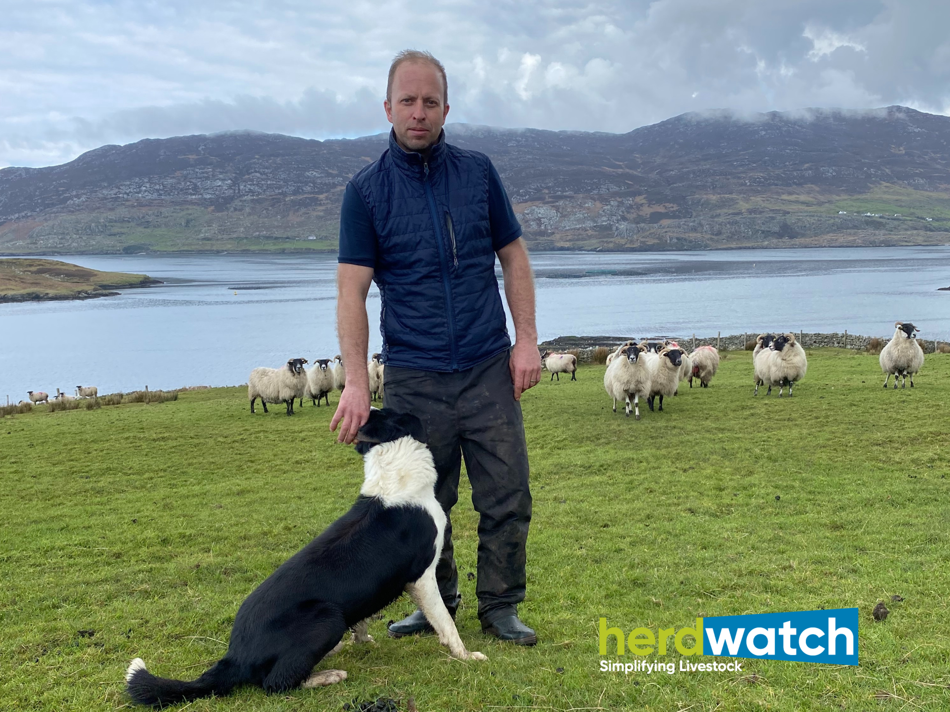 Tomas O'Toole farmer Moyard Co Galway sheep and suckler farm Herdwatch