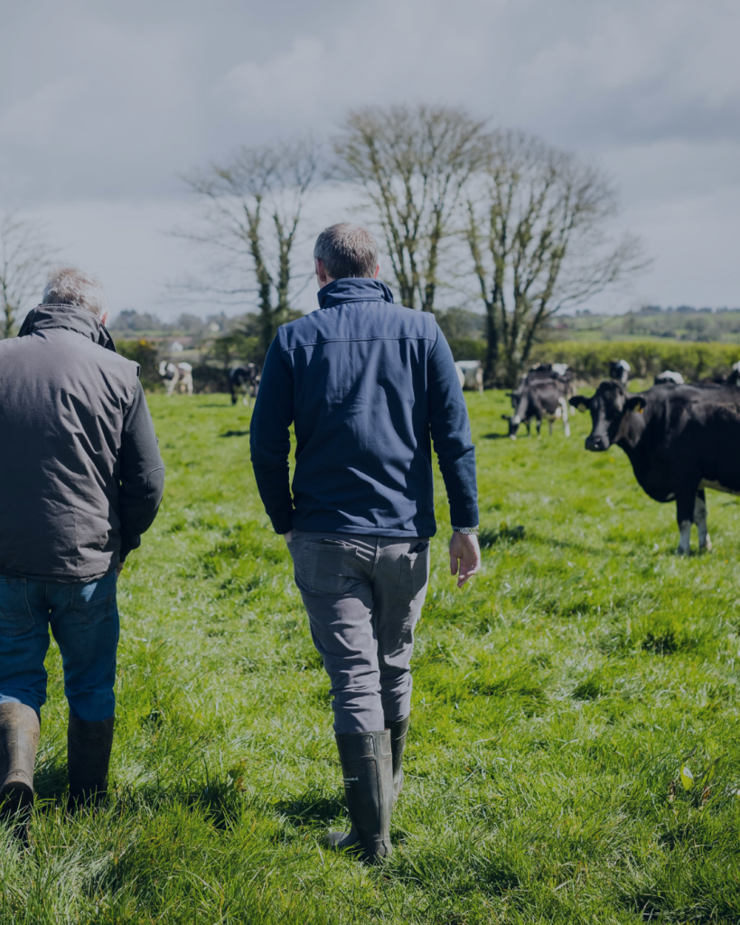 Getting Livestock Out to Grass After Winter: A Farmer’s Guide