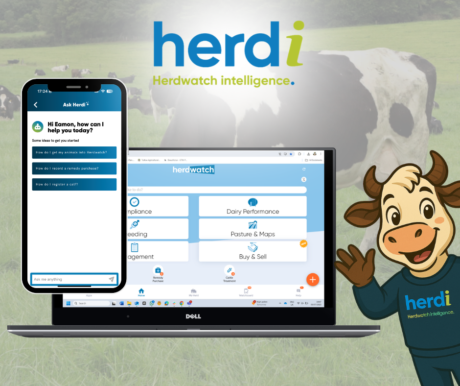 Herdi by Herdwatch AI farm assistant app on smartphone