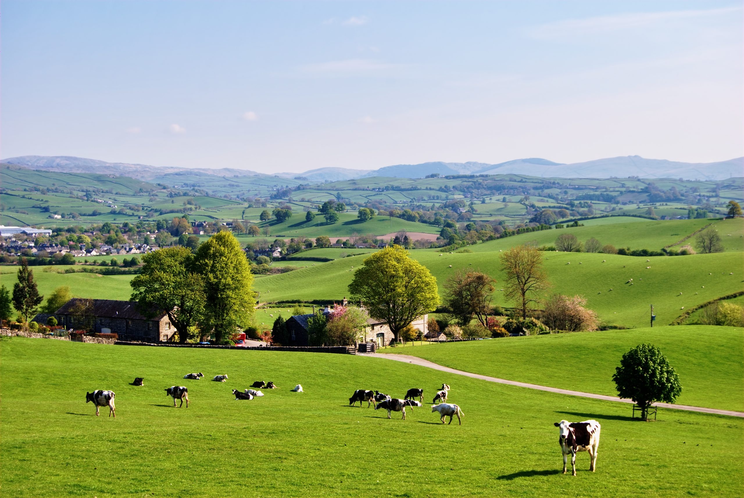 Herdwatch | 