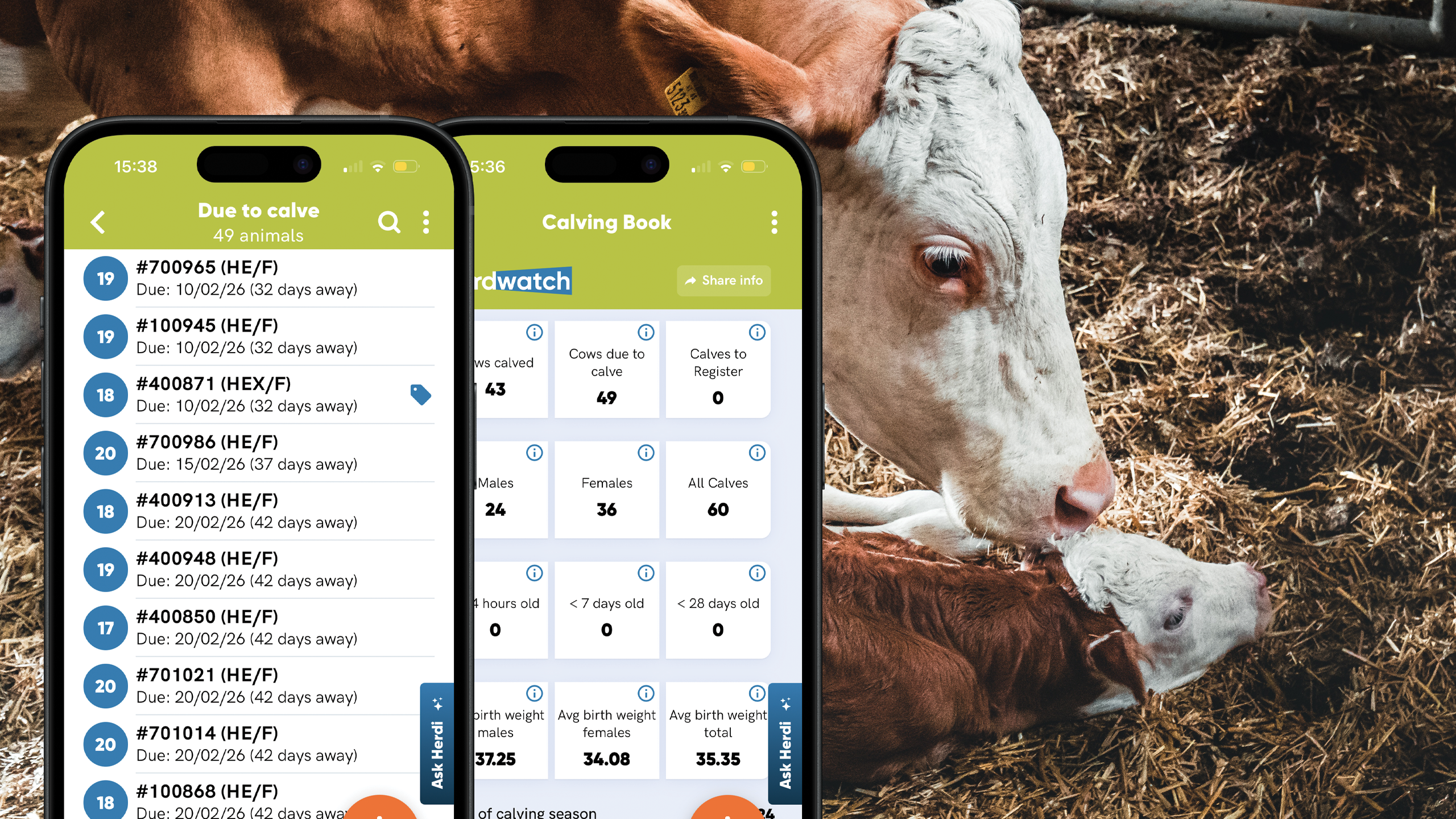 Herdwatch 
