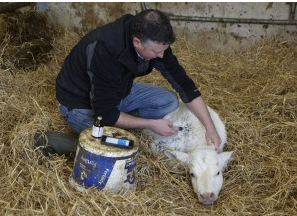 Herdwatch Testimonial | 
