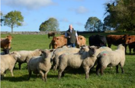 Herdwatch Testimonial | 