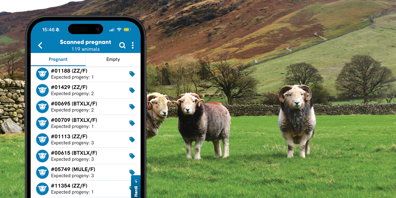 Herdwatch 
