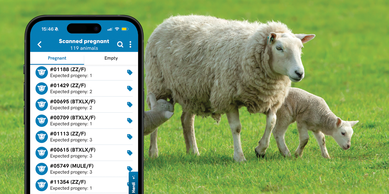 Herdwatch 