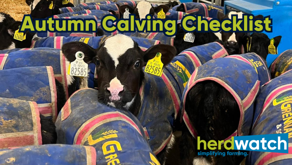 Check those boxes for Autumn Calving…  A guide to help you get prepared for pre and post calving.