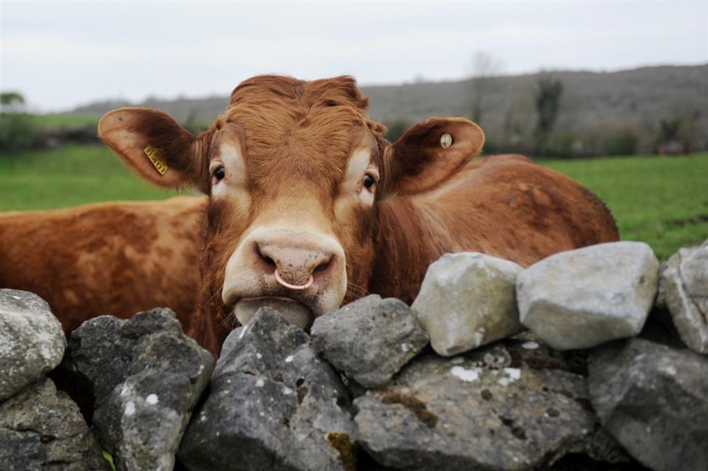 ‘Farm Safety Week’ Day 1: Farm Safety Statistics