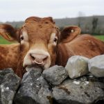 ‘Farm Safety Week’ Day 1: Farm Safety Statistics