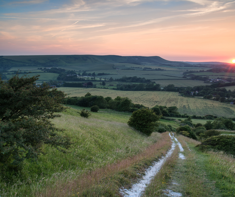 Don’t miss out: Deadline approaching for  Countryside Stewardship revenue claims in England