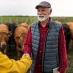 5 Tips for Selling Livestock Online in the UK