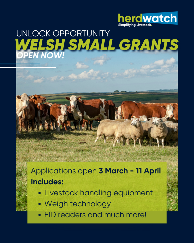 Unlocking opportunities: Welsh Government Small Grants – Efficiency Scheme