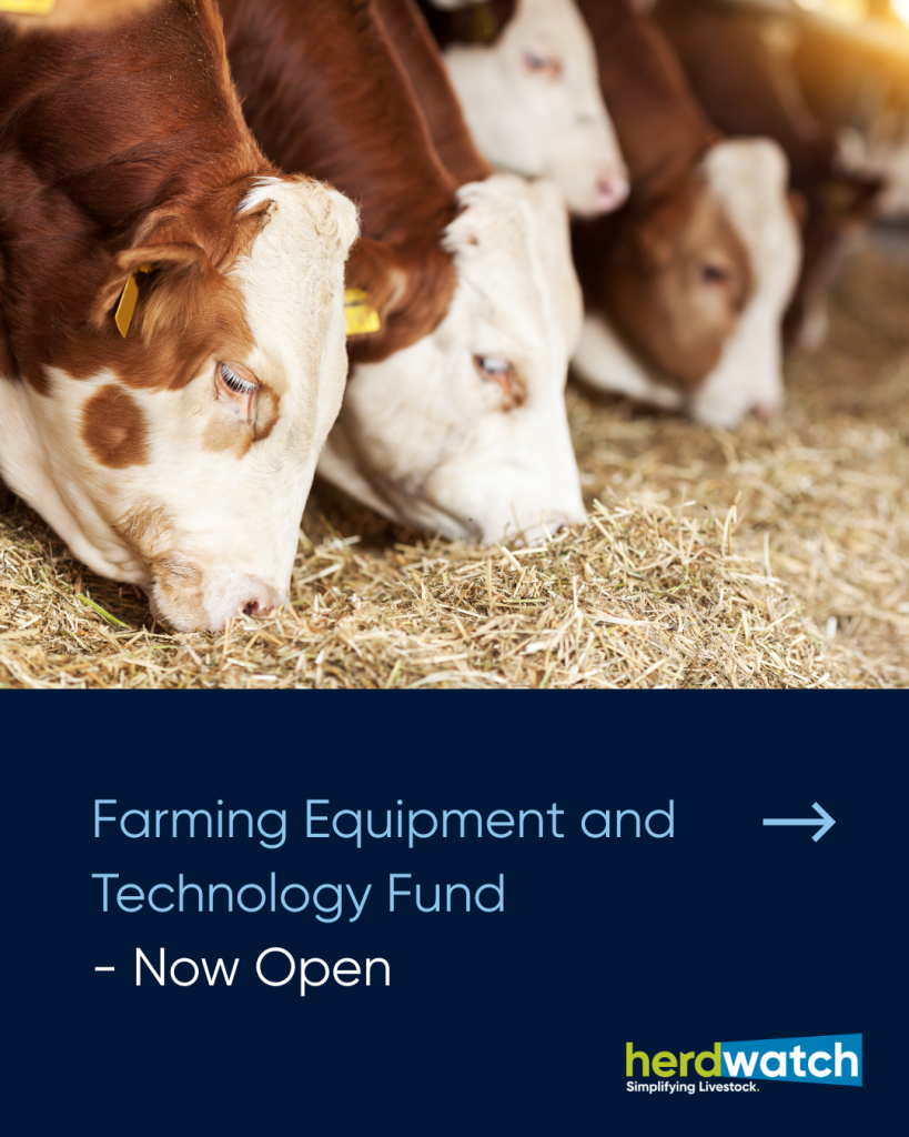 2026 FETF Grant Applications: Now Open!