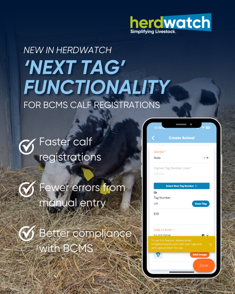 New in Herdwatch: ‘Next Tag’ Functionality for BCMS Calf Registrations (England & Wales)