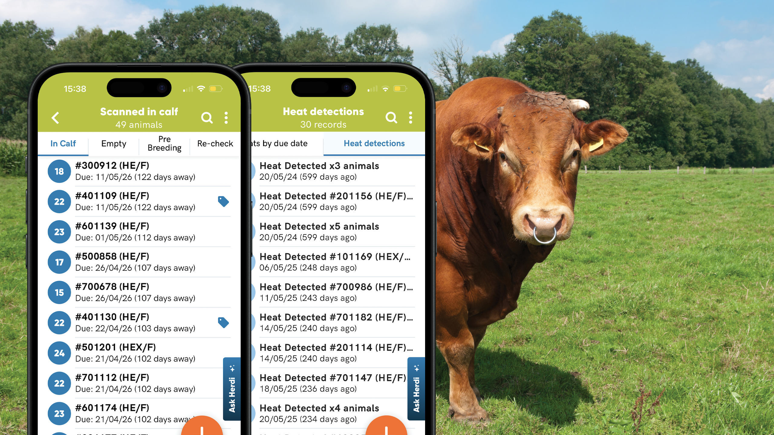 Herdwatch 
