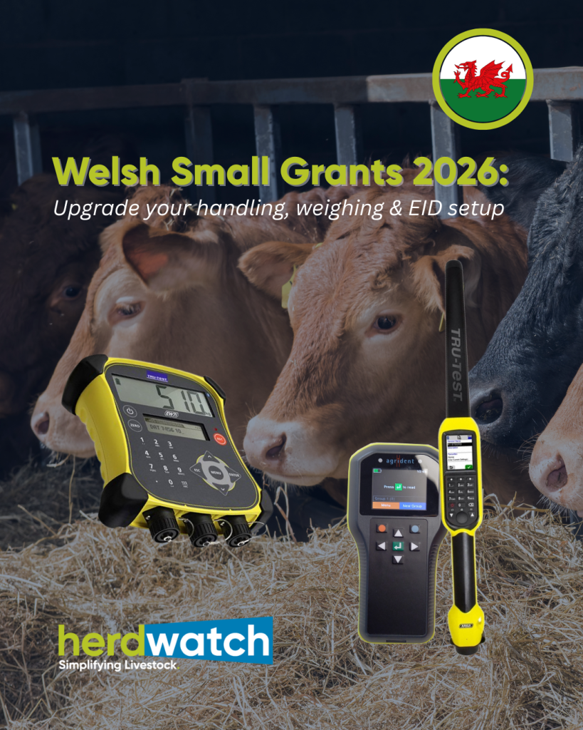 Welsh Small Grants 2026: Upgrade your handling, weighing & EID setup (and make the data work harder)
