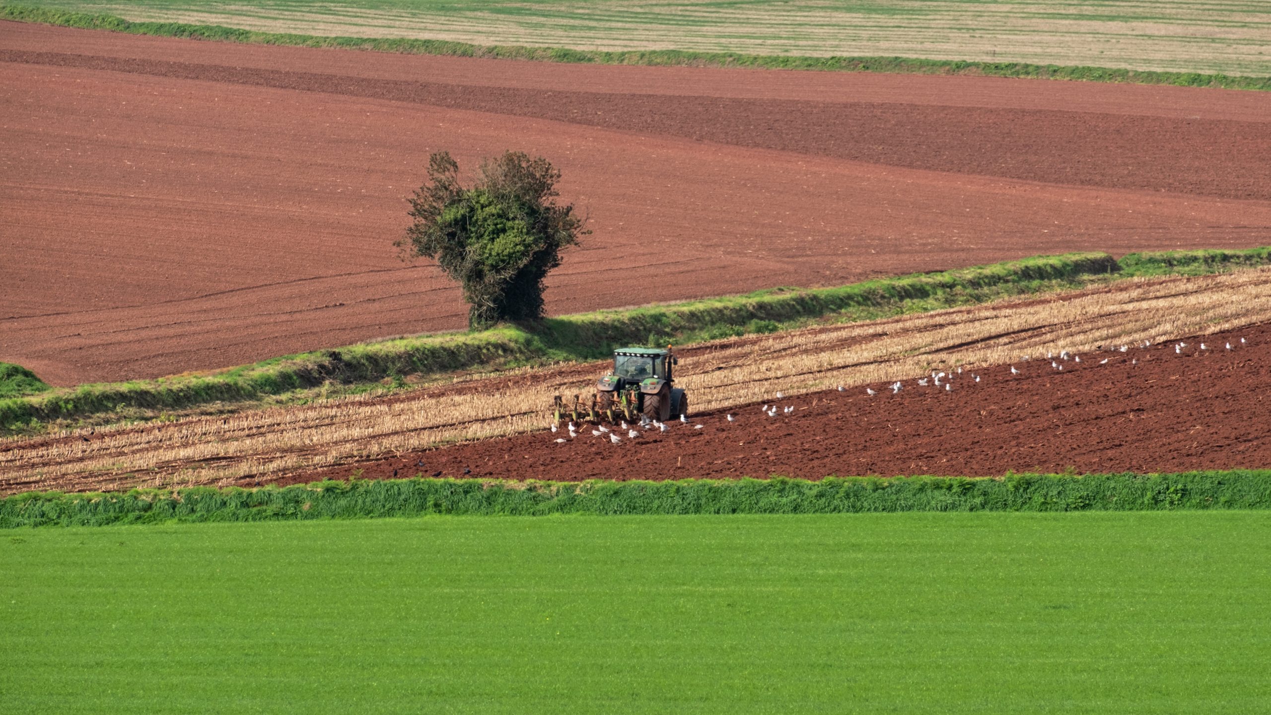 herdwatch Field