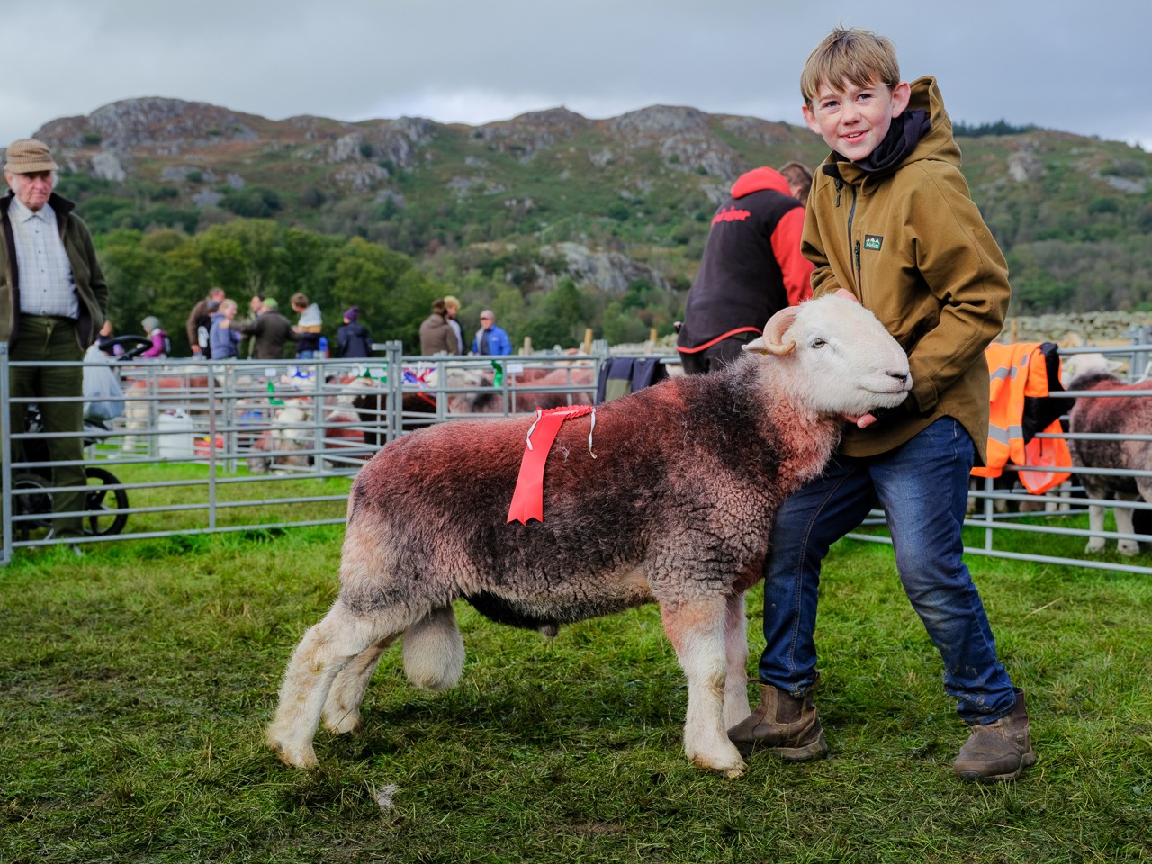 James Rebanks prize-winning Herdwick tup
