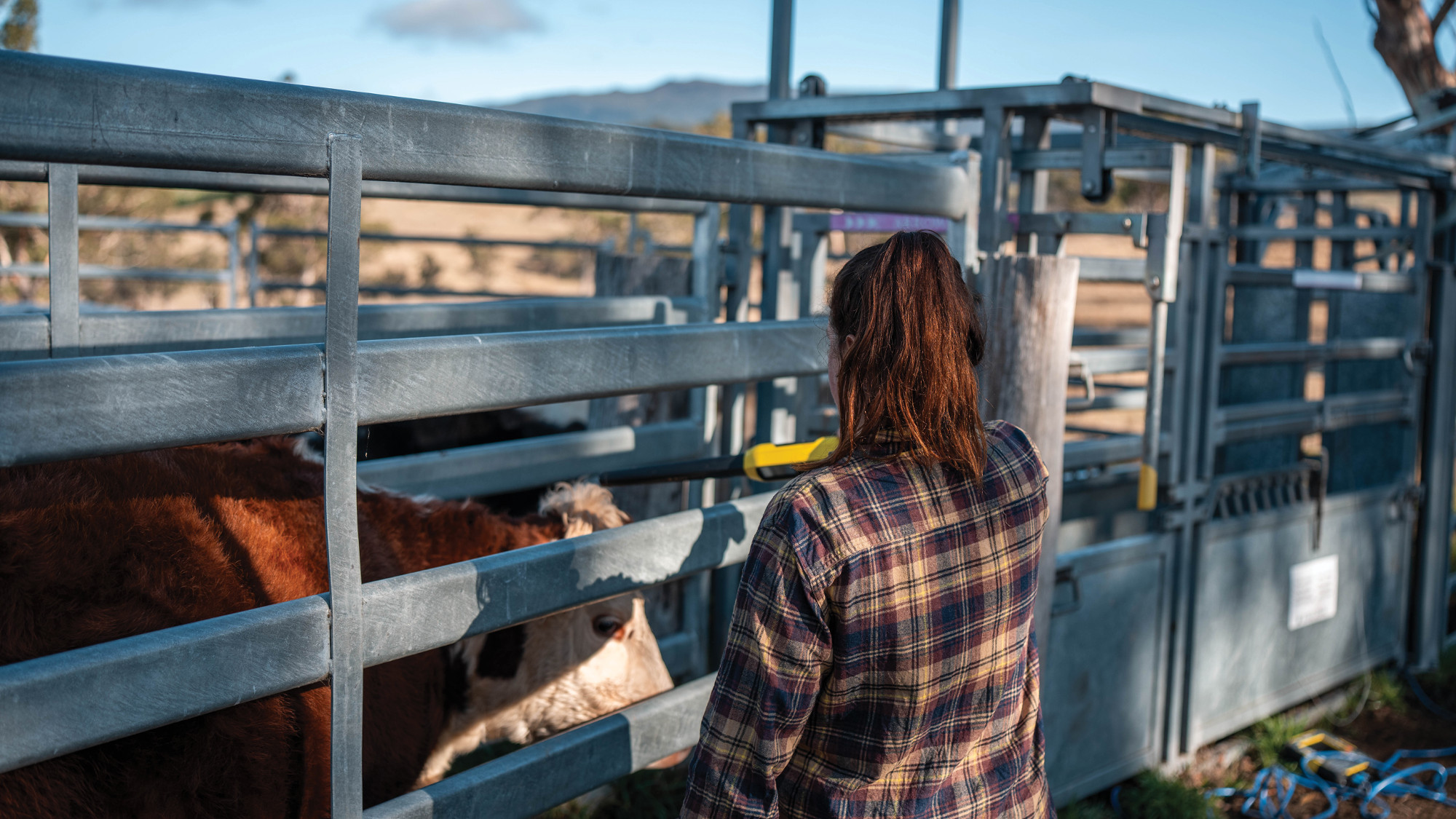 herdwatch get your free trial