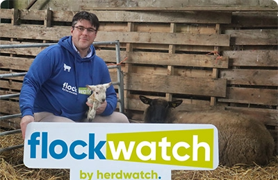 Fabien flockwatch sign lamb sheep