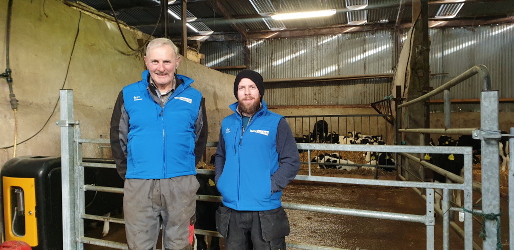 Herdwatch farmers in shed calves
