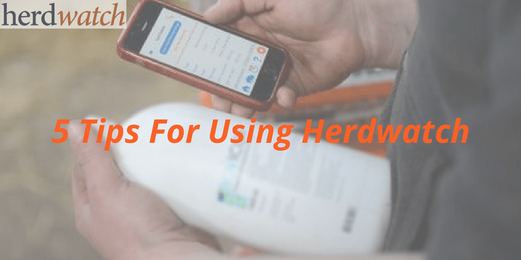 5 tips for using Herdwatch old logo