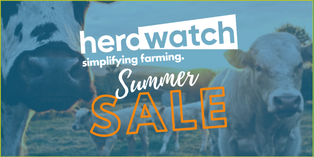 Herdwatch summer sale poster