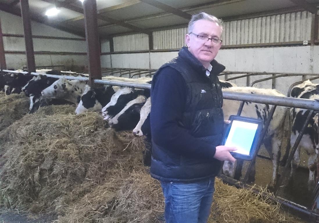 Denis Burke Dairy farmer in shed with cows