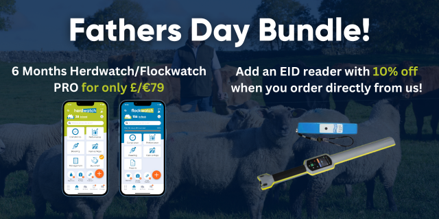Fathers day bundle promotion