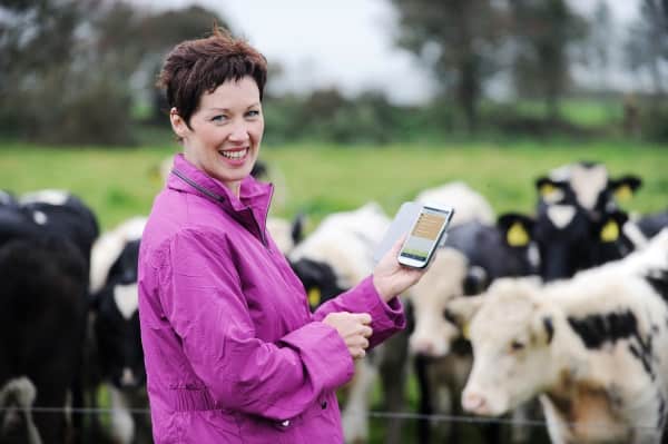 Patricia-Hearne farmer using Herdwatch app in field cows