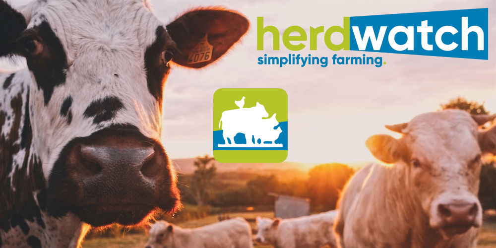 Herdwatch logo with cattle background