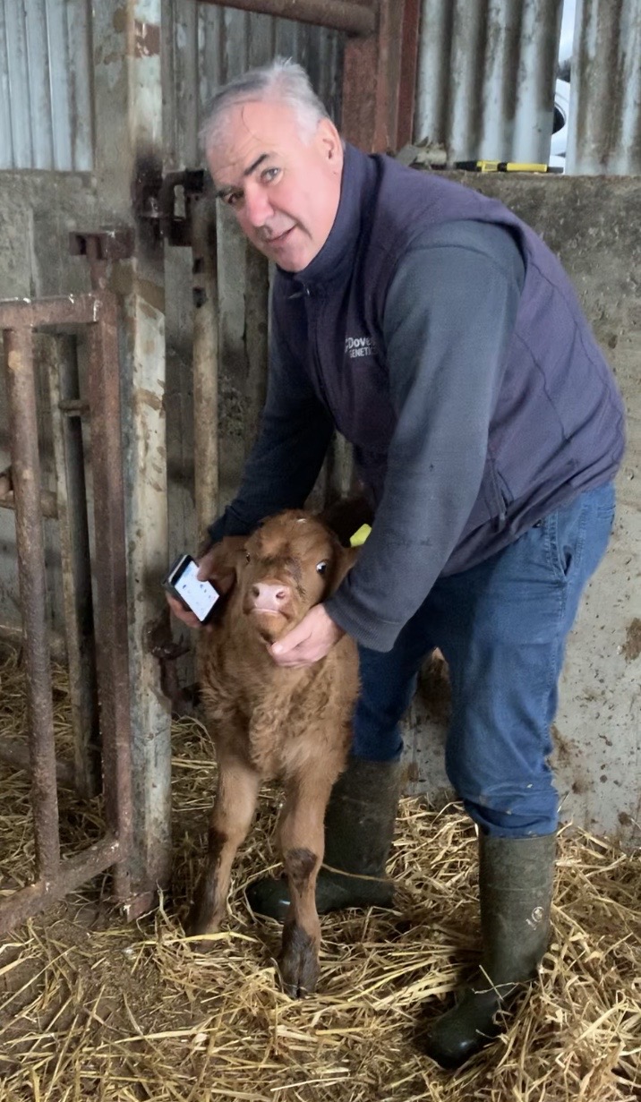 Tom Groome holding calf in shed