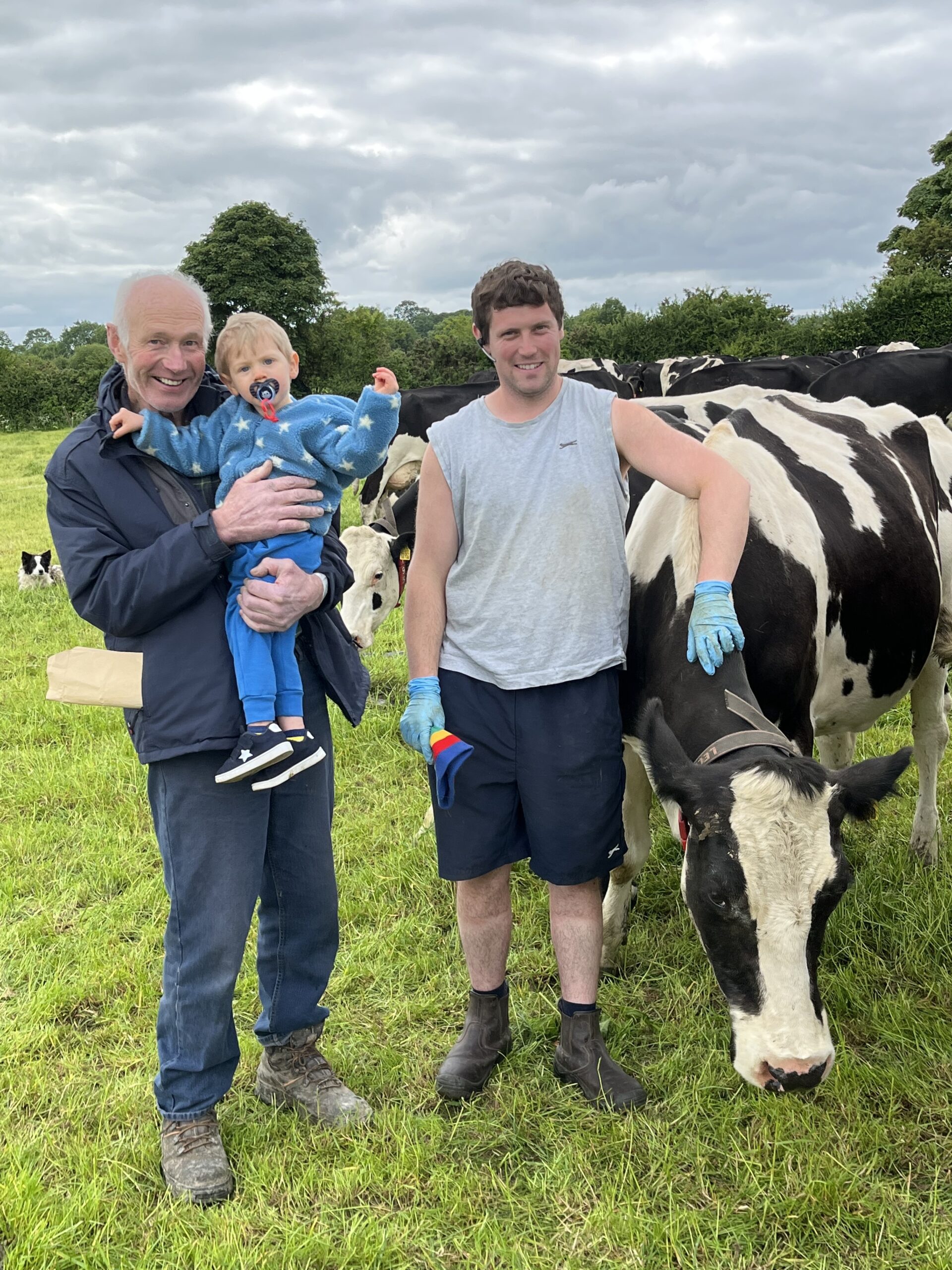 Tom Ahern farmer + dad + son in field with cows