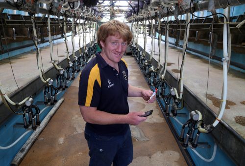Cheshire farmer in milking parlour using Herdwatch app