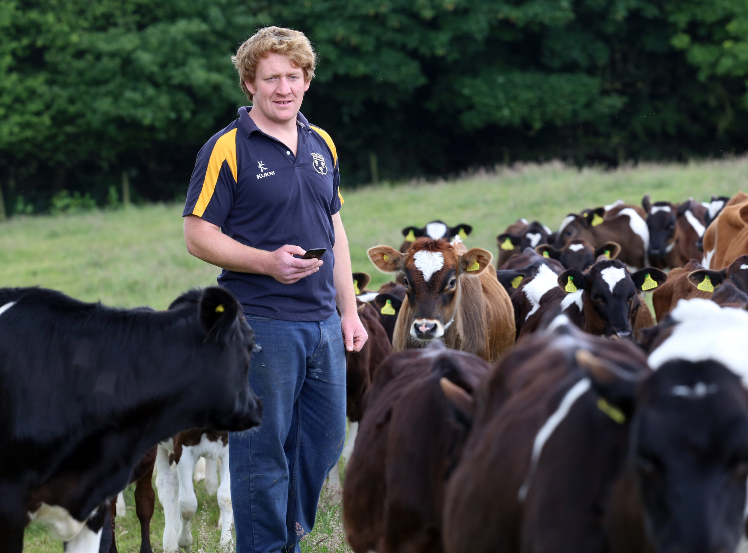 Farmer in field with calves