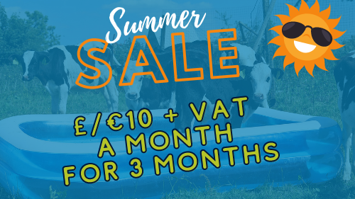 Summer sale offer poster