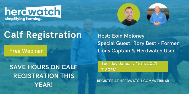 Webinar - calf registrations Eoin and Rory Best
