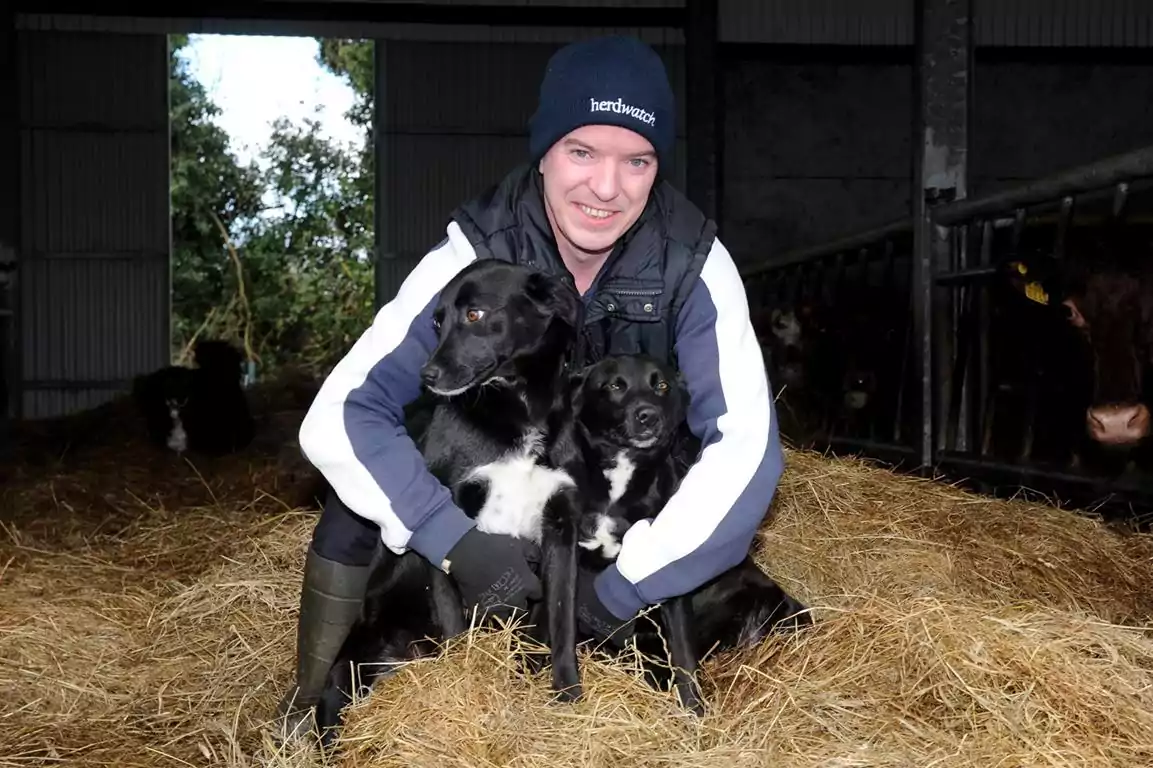 Herdwatch farmer with dogs