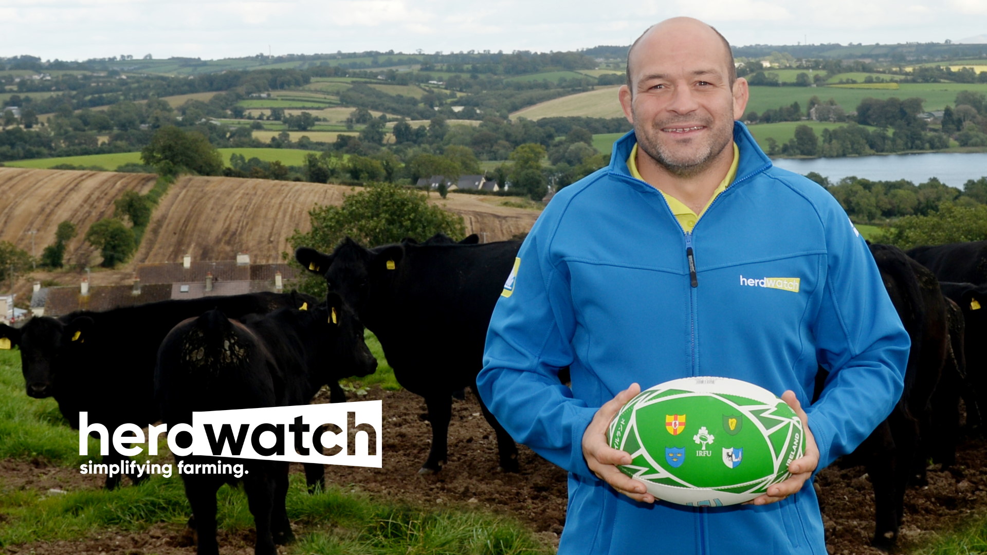 Rory Best cattle rugby ball