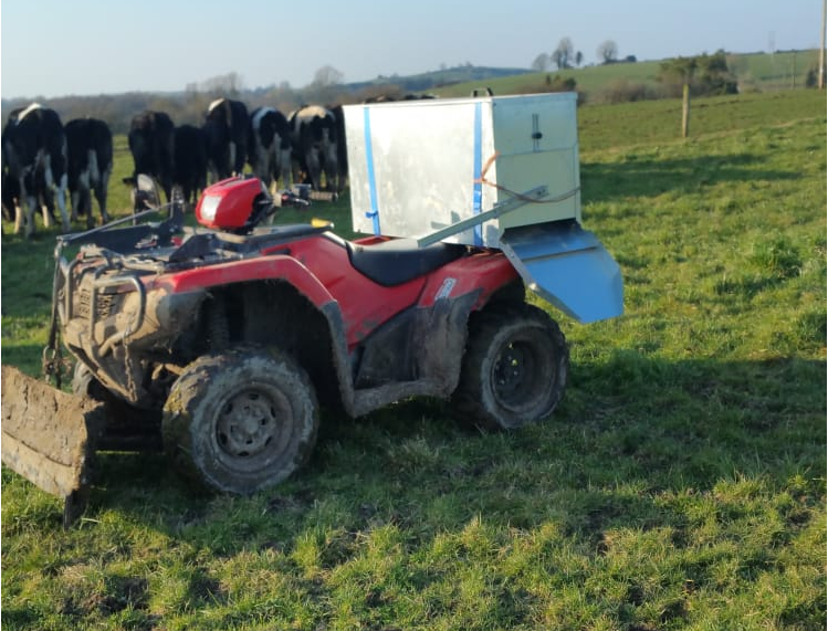 Quad in field cattle
