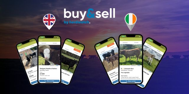 Buy & Sell IE UK promo image