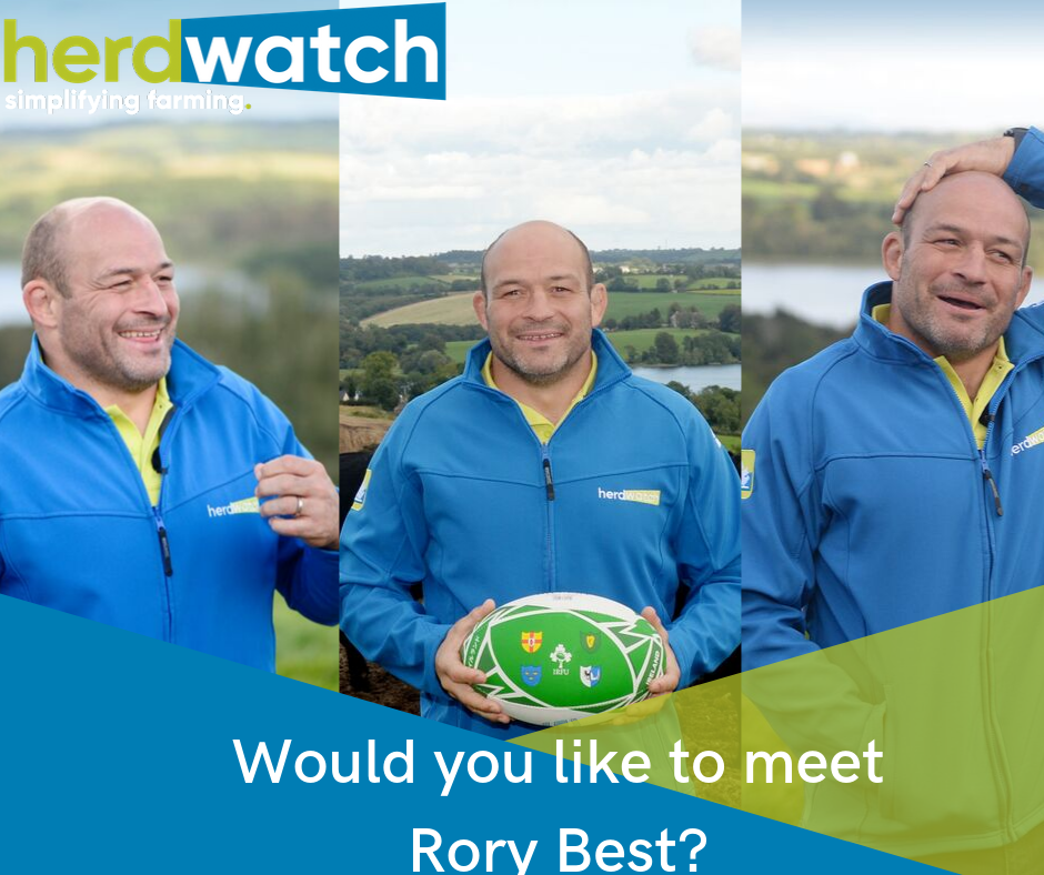 Rory Best collage