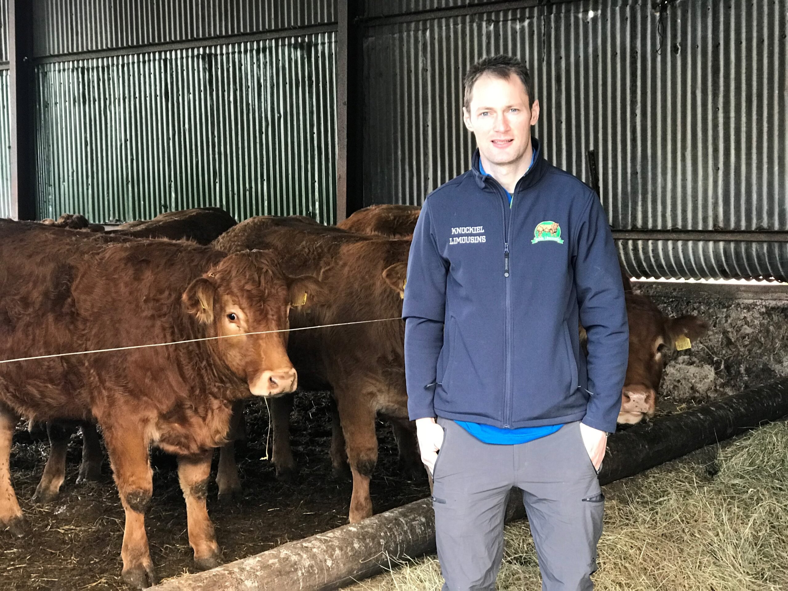 Herdwatch farmer in shed with cattle