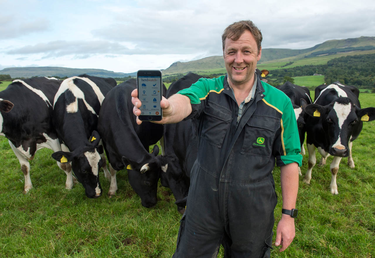 Andrew Paterson dairy farmer using Herdwatch app in field with cows