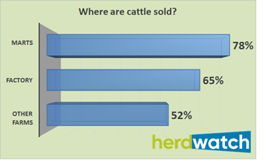 graph where are cattle sold