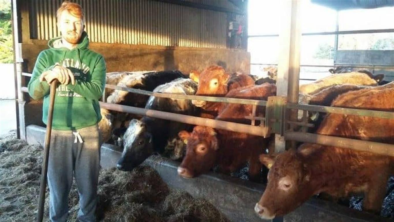 Tomas farmer in shed with cattle