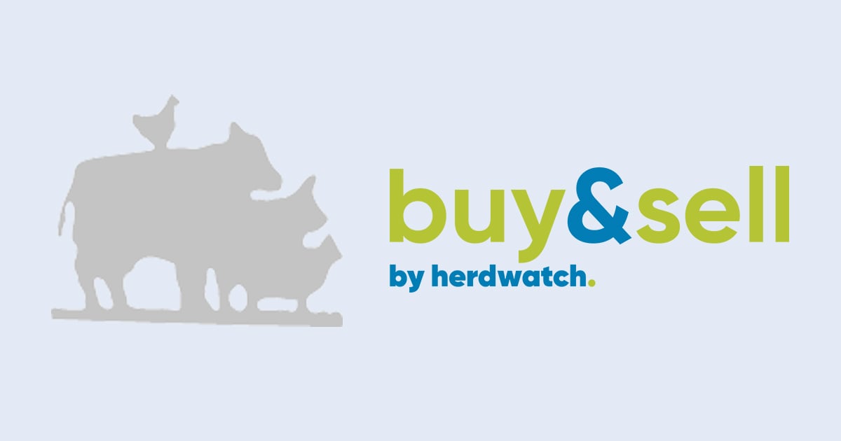 buy & sell logo